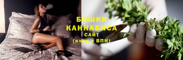 PSILOCYBIN Каменск-Шахтинский