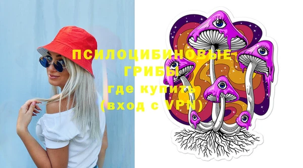mdpv Каменка