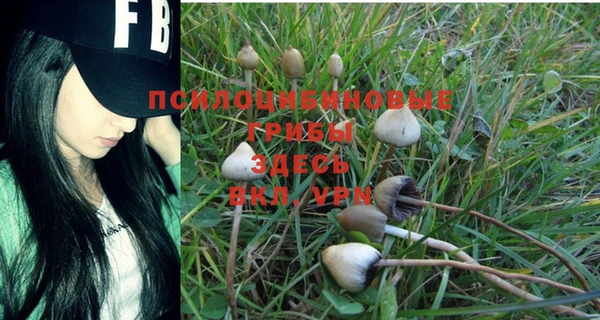 PSILOCYBIN Каменск-Шахтинский