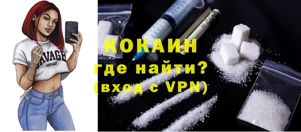 mdpv Каменка