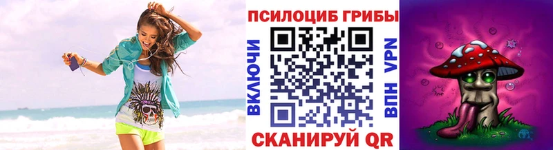 Галлюциногенные грибы Psilocybine cubensis  Купить  Ишимбай 